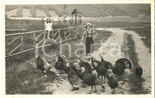 1949 CANSIGLIO / Prealpi Bellunesi - Bambine con tacchini *Foto cartolina