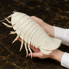 Scultura replica isopode
