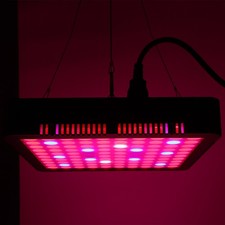 Spina EU 300W 100LED Chips