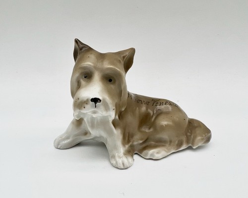 Collezione scioglimento - collezione,