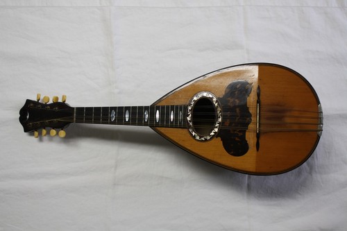 Conn wonder mandolin - conn,