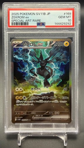 Zekrom 169 086 special art - ex,