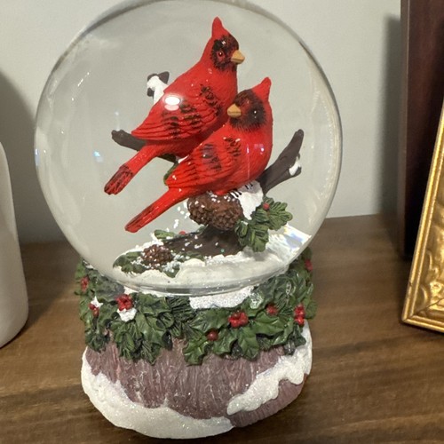 Gemelli rosso cardinale neve - rosso,
