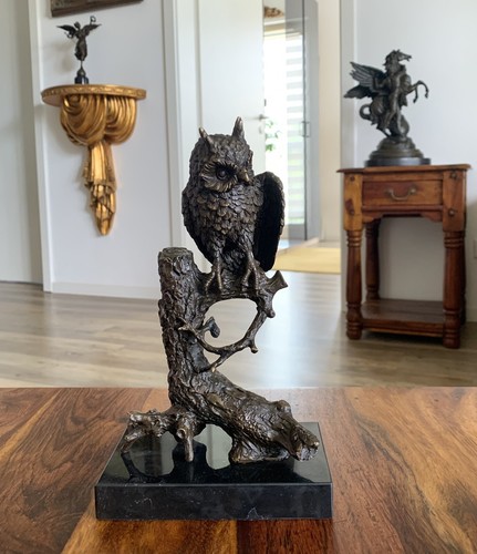 Statua bronzo gufo - in,