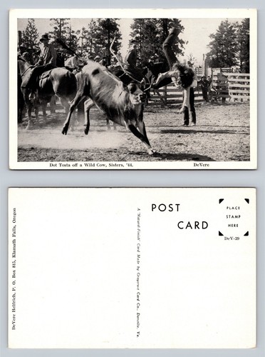 Cartolina corda mucca - corda,