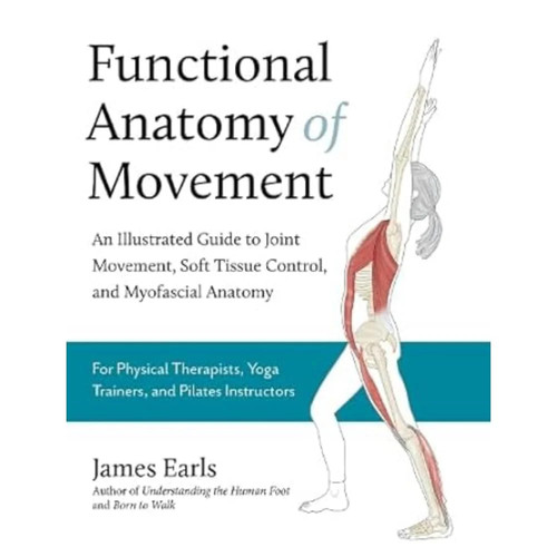 Functional anatomy movement - functional, of