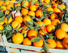 Box cassetta arance - box,