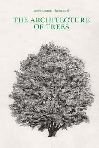 The architecture trees by - architecture,