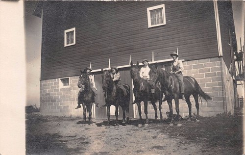 Quattro uomini cavallo - uomini,