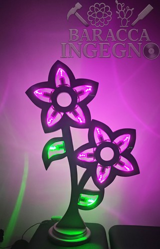 Luminaria salentina fiore - salentina,