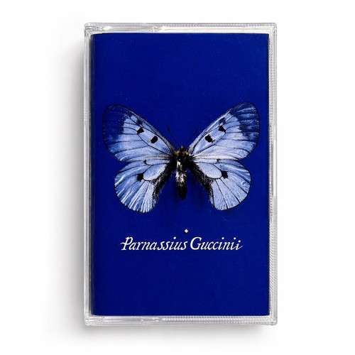 Francesco guccini parnassius - guccini,