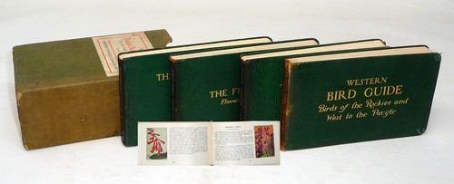 1913 set pocket - set,