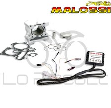 KIT MALOSSI 3114349 GRUPPO