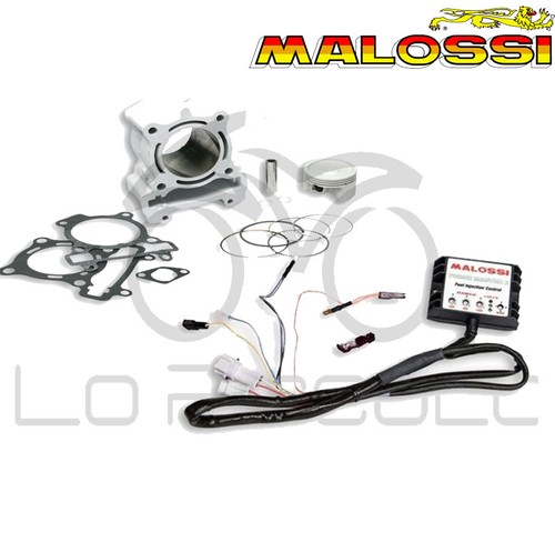 Kit malossi 3114349 gruppo - malossi,