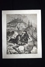 La Svizzera - Cani da pastore