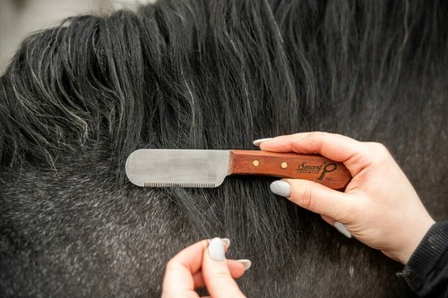 Smart grooming pro tagliabordi - pro,