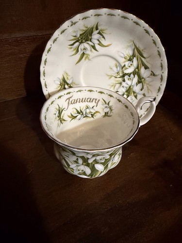Tazza the royal - tazza, albert