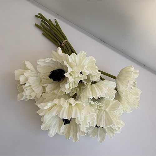 Fascio fiori anemone - fascio, di