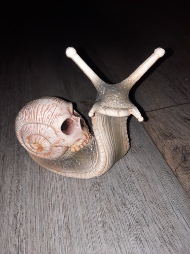 Lumaca teschio teschio