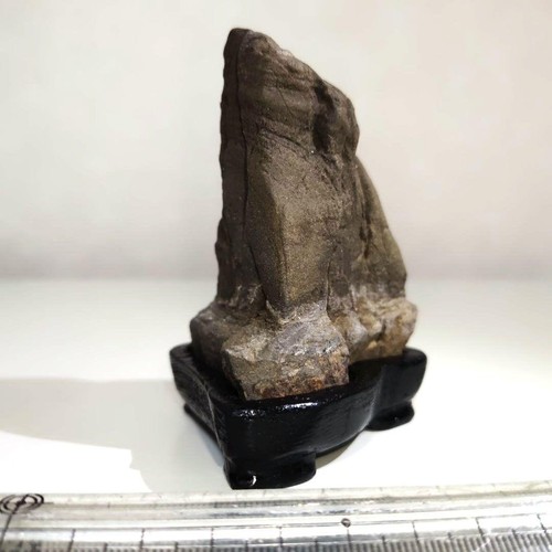 Suiseki piccola pietra - suiseki,
