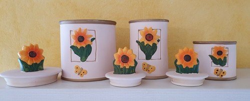 Set barattoli cucina coperchio
