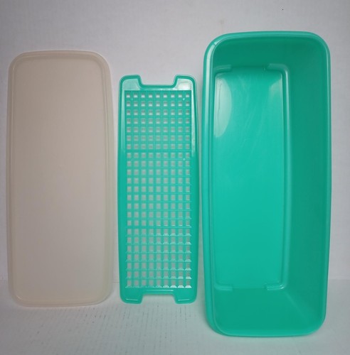 Pezzi tupperware sedano - 3,