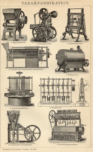 1893 tabacco produzione - tabacco,