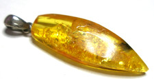 Ambra baltica naturale PENDENTE ,, ZANNA ''