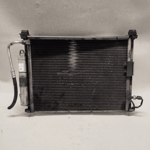 Eg200 65570 radiatore - radiatore,