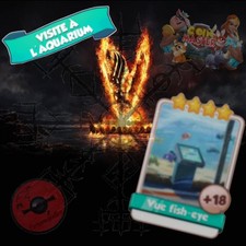 Vue fish eye x 100 cartes coin