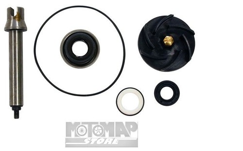 Kit revisione pompa acqua