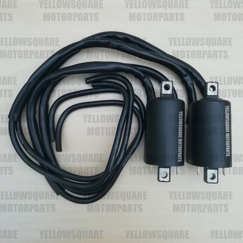 Bobina accensione per - x2,