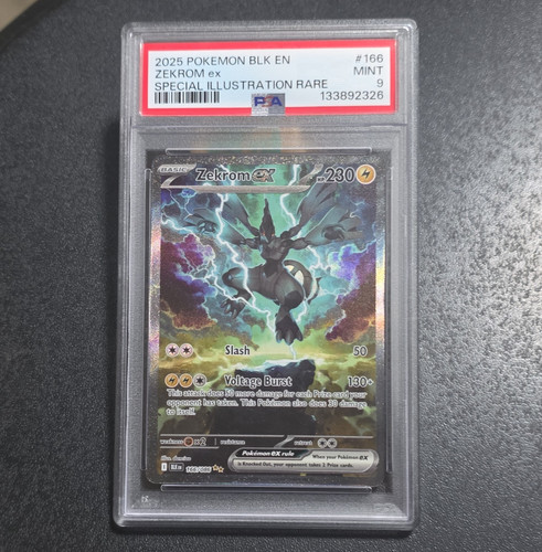 Pokemon tcg bullone nero - pokemon,