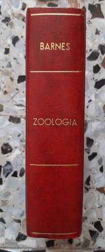 Zoologia gli invertebrati - zoologia:,