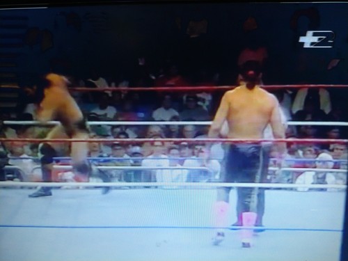 Wrestling superstars 1993 - 1993, in