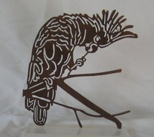 pappagallo che mangia quadro