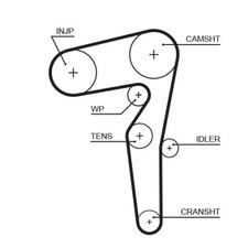 Cinghia Distribuzione Gates