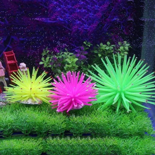 Acquario silicone - acquario,