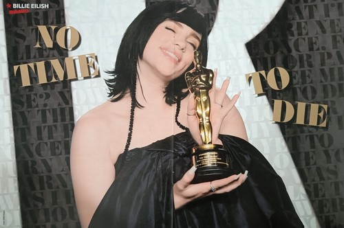 Billie eilish a3 - billie,