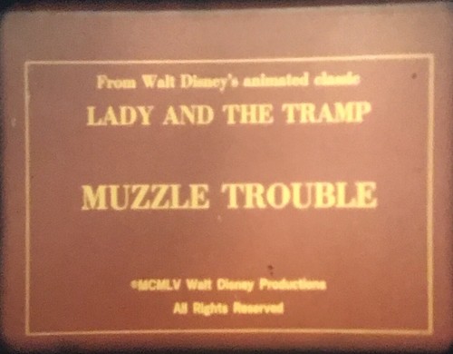 Muzzle trouble - “muzzle, trouble"