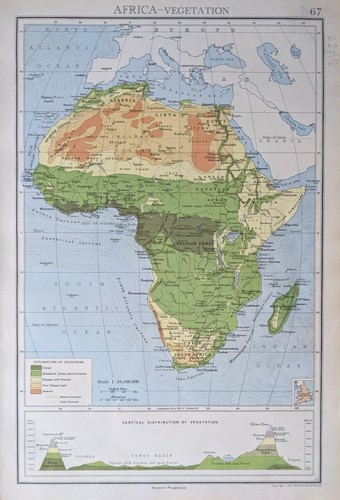 1942 mappa africa vegetazione - 1942,