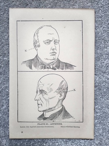 Appetite phrenology - -,