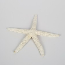 STELLA MARINA VINTAGE BOMBONIERA PARTY COMUNIONE MATRIMONIO IDEA REGALO HOME 900