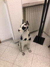 ceramica rappresentante cane alano altezza m 1,30 bianco e nero