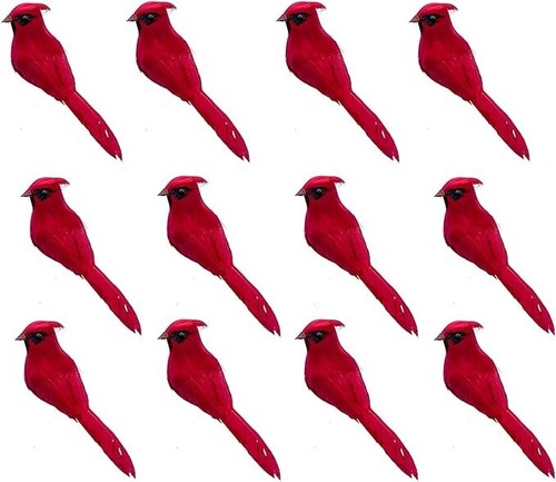 Cardinale uccellino clip - , su