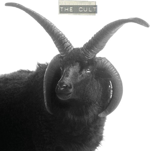 The cult 2 - the,