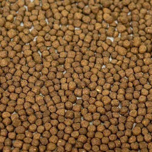 Alimento per pesci g - alimento, 50