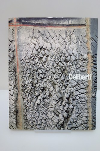 Celiberti segni dell - i, dell'anima