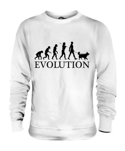Border collie evolution - border, of