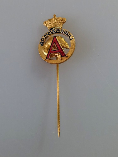 Distintivo smaltato - distintivo,